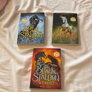 The Black Stallion Book Set